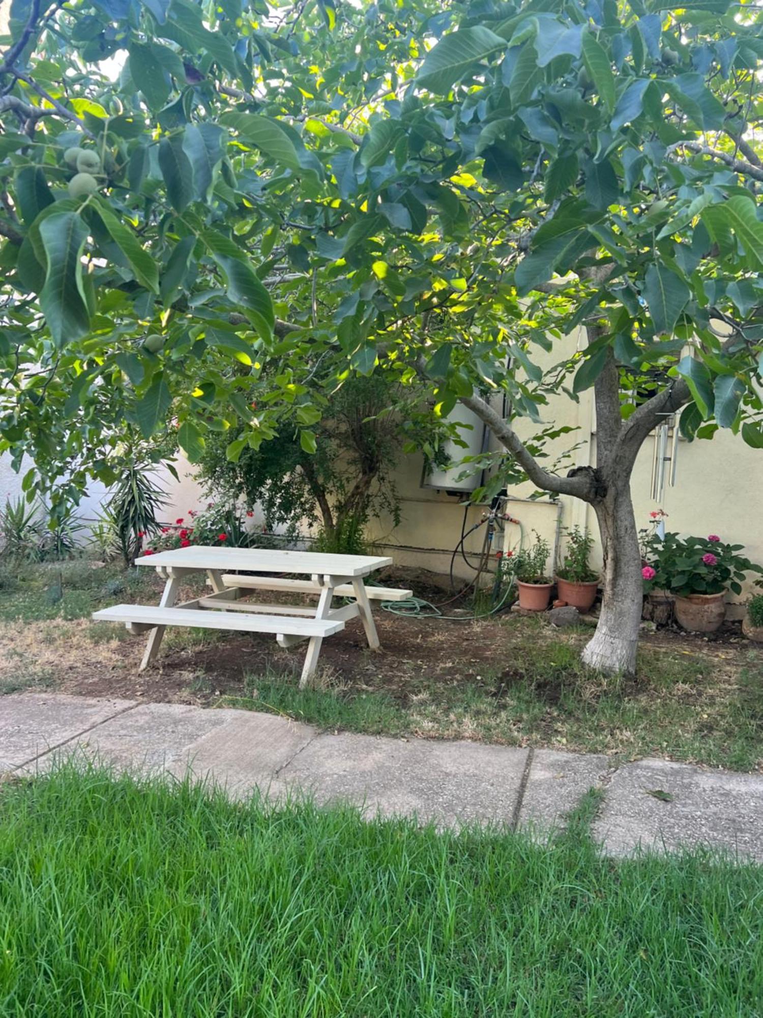 פינה חמה ברמה Ein Zivan Exterior foto